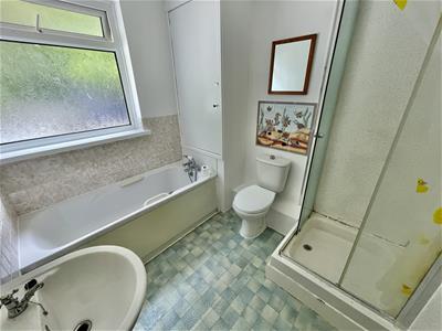 Picture 12